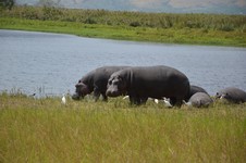 DSC_0556.JPG