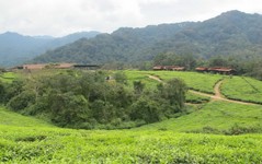 nyungwe lodge am waldrand.jpg