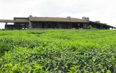 nyungwe lodge luxus pur.jpg