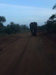 verkehrskontrolle im akagerapark.jpg